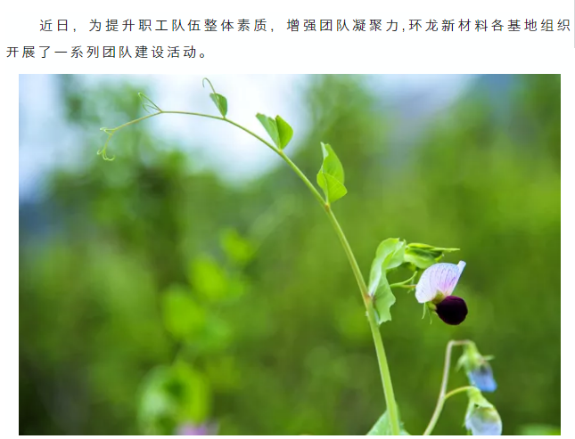 各類常用的高級搜索指令